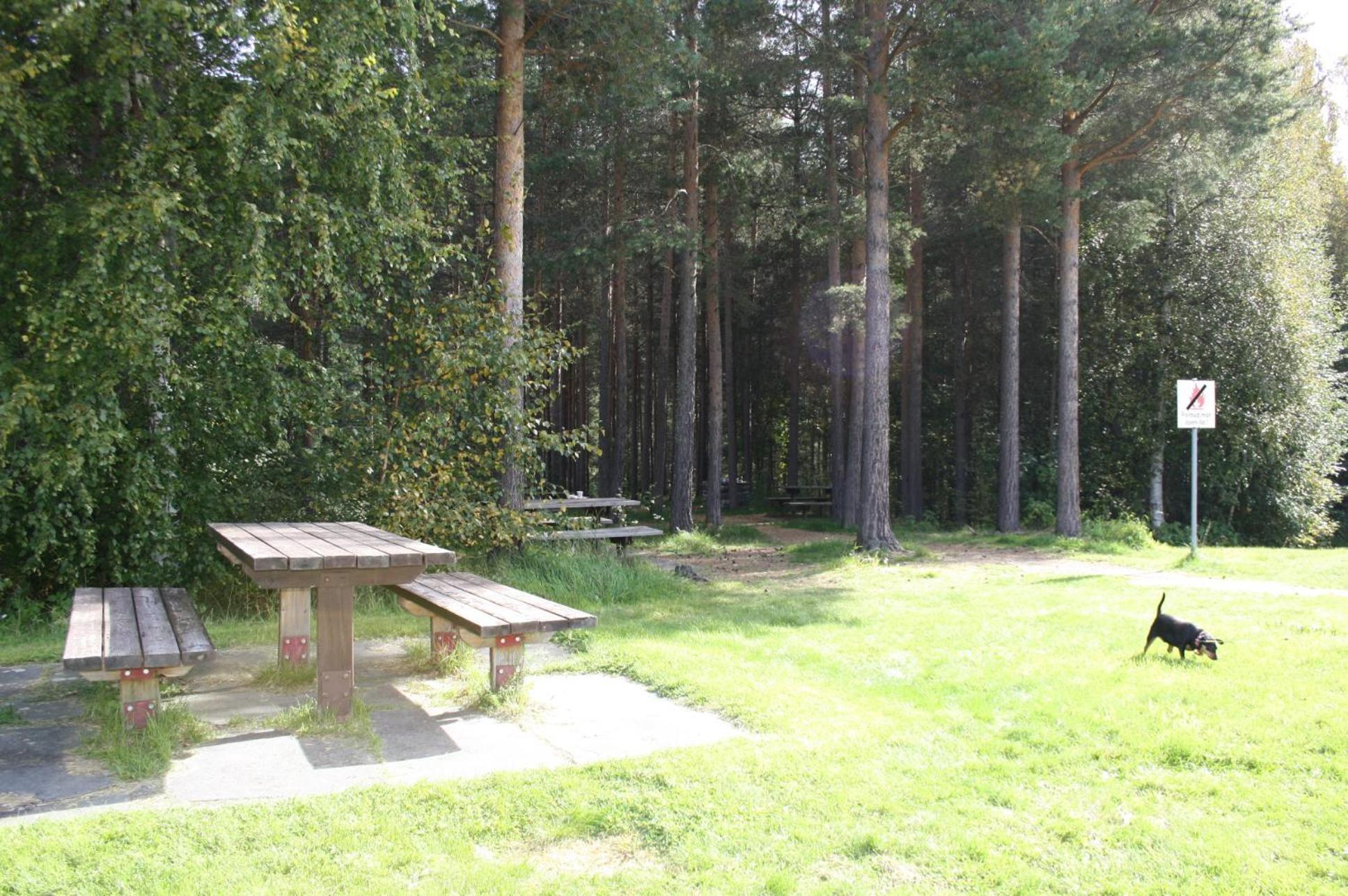 Dovreskogen Gjestegard As Kültér fotó